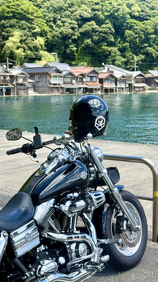 FXDF_FATBOB_BOB's tweet photo. 朝から快晴！☀️
たんとうひまわりまつりへ🌻🏍️💨
50万本のひまわりまみれに
なれますよ〜🌻🌻🌻

その後は丹後半島をぐるっと回って無事帰宅です🌊😊 https://t.co/HAZXjXfSwx