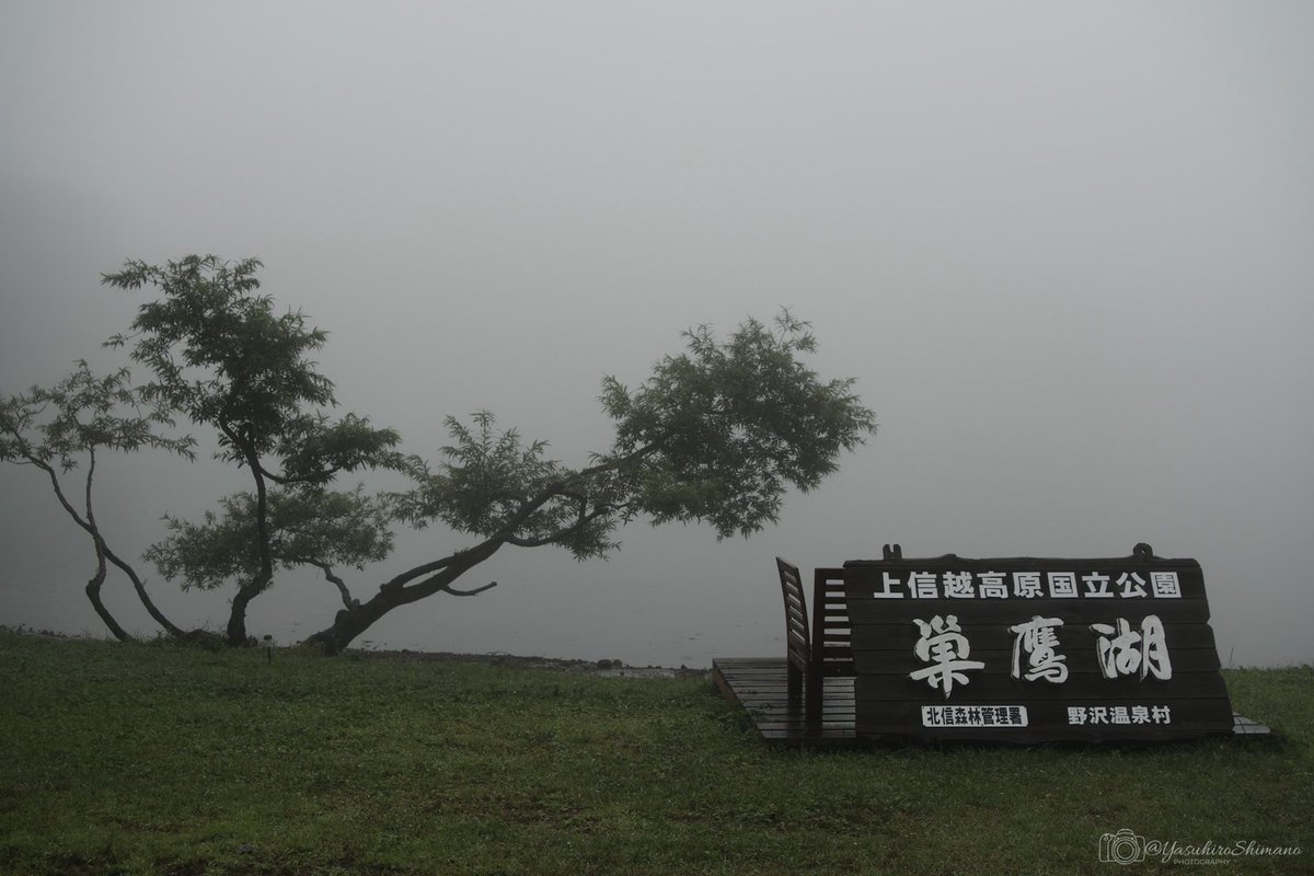 YasuhiroShimano's tweet photo. 雨中の野沢温泉上ノ平高原

#写真 #photography
pentax pentaxk3mkiii pentax_da2040
CI:里び(SATOBI) https://t.co/PzhMfys9Np