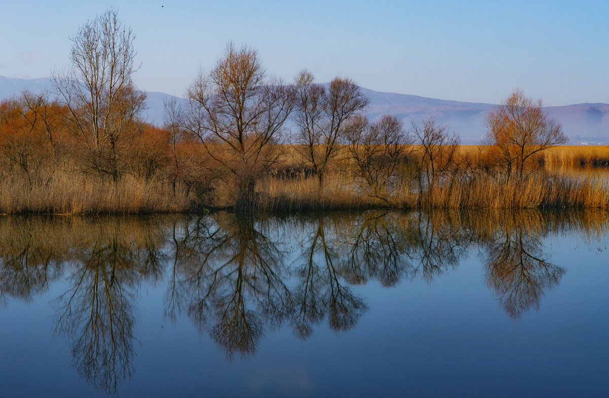 xontrikaiasximi's tweet photo. 🧡💙
#pamvotida #ioannina #whereilive #lightroom #nikond3100 https://t.co/3RWPJ6KRme