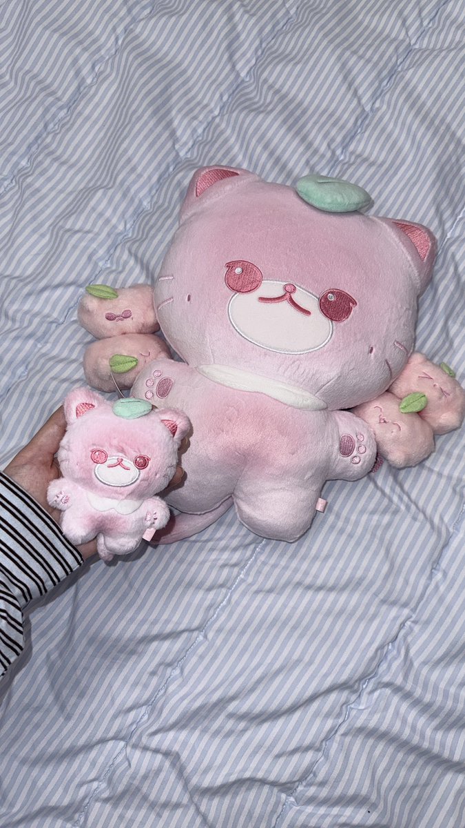 blessssonly's tweet photo. 💕🩷💖💘💗💝🎀🍑 https://t.co/rXonJFsg0M