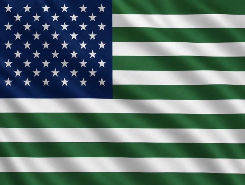 Nany_aaa's tweet photo. Be like our flag don change https://t.co/DxjOqOzF7V