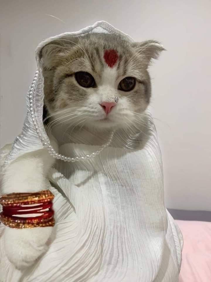ishikata's tweet photo. ek din mein bhi saas ban jaungi 😭 apne Grandchildren ko sunugi tooter ke crazy days ki stories 🤧 https://t.co/QoN72G3Zc7