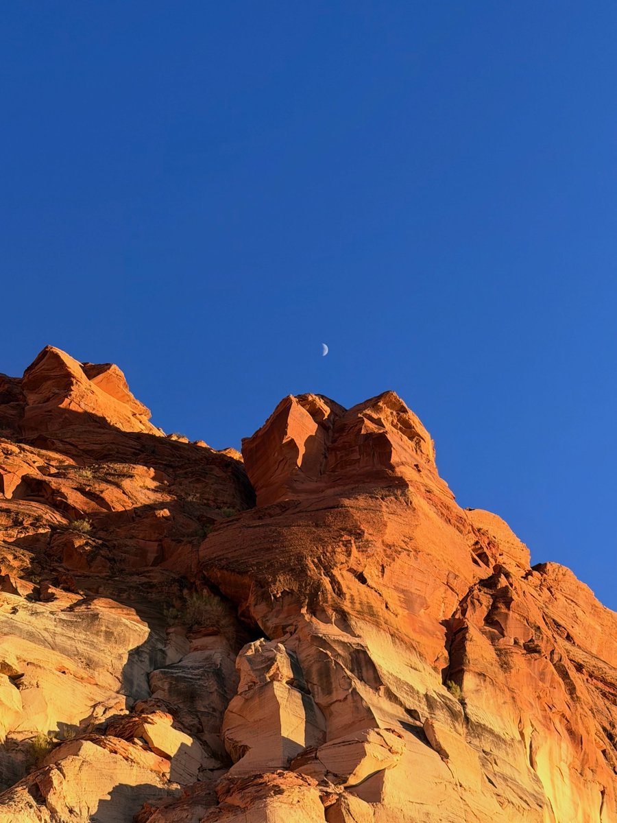 PortalLalisa's tweet photo. ๐ฒ lalalalisa_m via Instagram (1/4)
"Red rock therapy"
LISA INSTAGRAM: https://t.co/WucufERh95
#LISA #LALISA #LISAINSTAGRAM https://t.co/FBIcONQlH4