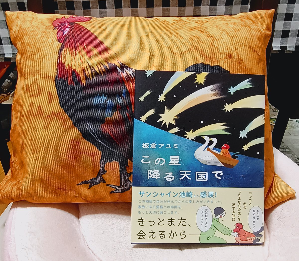 DigitalPirates's tweet photo. 愛媛のエミフルMASAKIに、お笑い芸人のサンシャイン池崎さんが！　「この星降る天国で」の帯もサンシャイン池崎さん！　なんという偶然！ https://t.co/eTPTYwPqDR