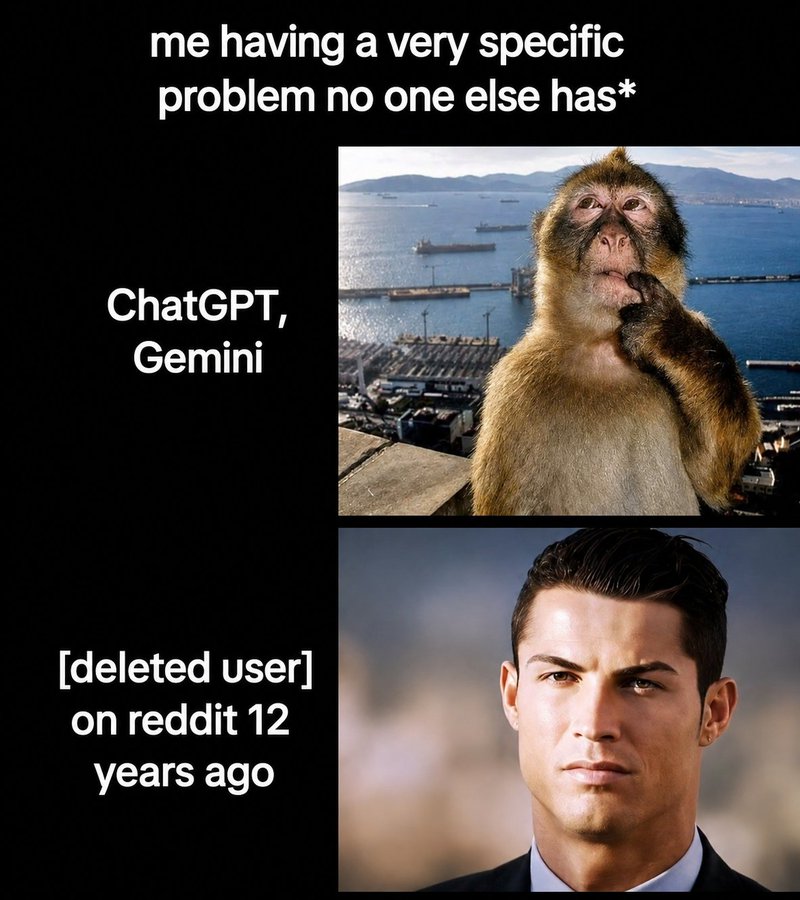 SotaModel's tweet photo. Meme Time https://t.co/RhnYIWB1SO