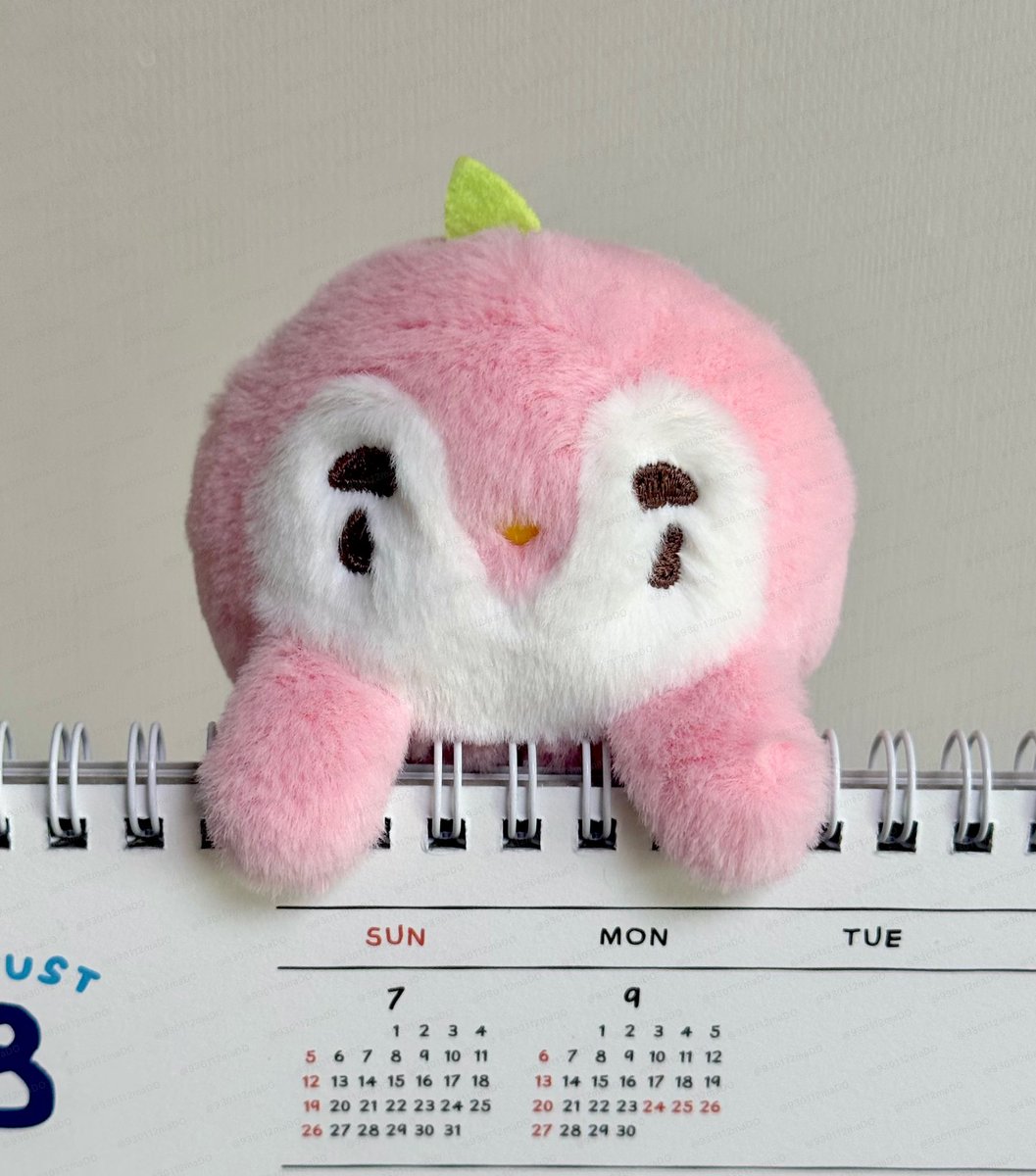 930112maDO's tweet photo. MONITOR DOLL
모니터돌 핑귀니 https://t.co/UFV3nMHac6
