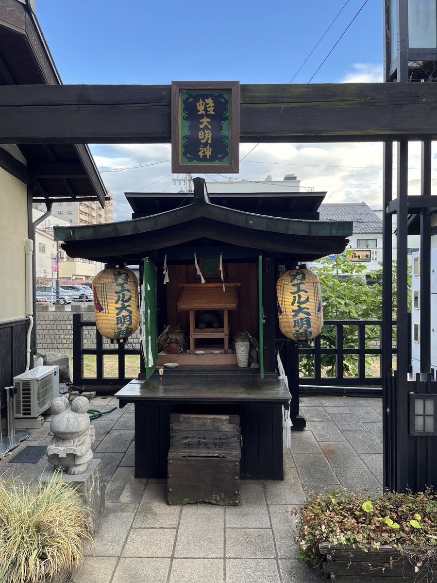 autumium's tweet photo. カエル大明神🐸 https://t.co/74gKzW84Fq