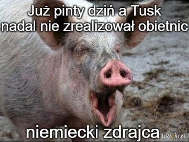niepokorny81's tweet photo. @BarbaraTrabins1 π #Zhumorem π½ https://t.co/RJPTmUP6eY