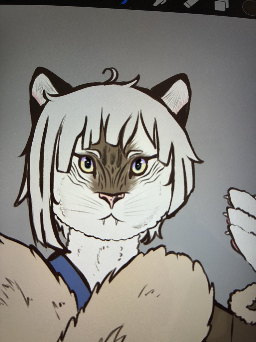 wildsoukoku's tweet photo. Pspspspspsp cute kitty 🥰 https://t.co/O2GLrAc71L