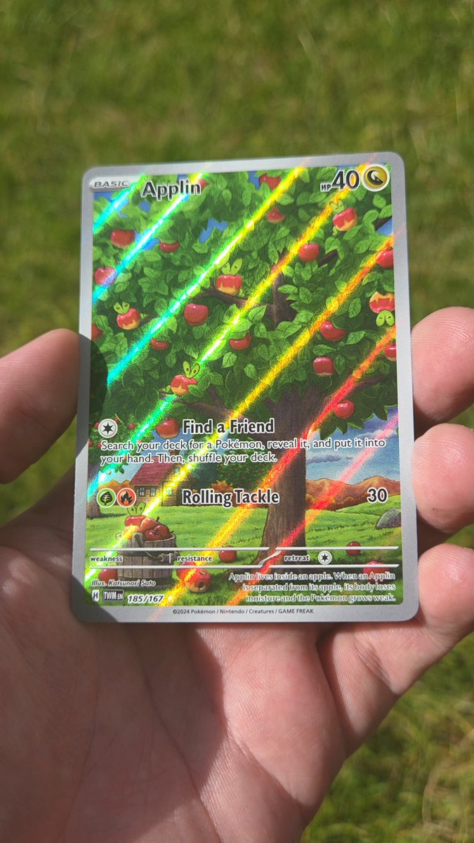 OnyxBinder's tweet photo. Gm Pokémon collectors ☀️

How many Applin sitting in a tree? 🌳🍎 https://t.co/q636gVtjAx