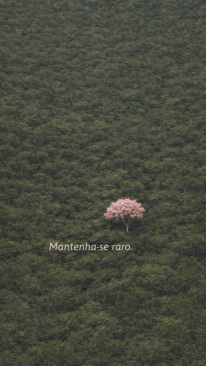 inspireipoesia's tweet photo. https://t.co/3Ic4KFo4QM