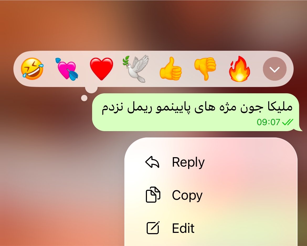 _Saniida_'s tweet photo. رندوم ترین پیامی که کله صبح به دوستام میدم: https://t.co/RiI9PlkLfk
