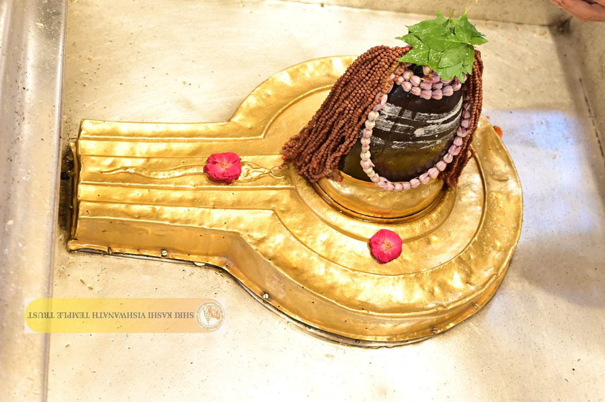 ShriVishwanath's tweet photo. श्री काशी विश्वनाथ जी की मध्यान्ह-भोग आरती I
#kashi #darshan #kashivishwanath #VishwanathDham #blessings https://t.co/KvX6ao20NW