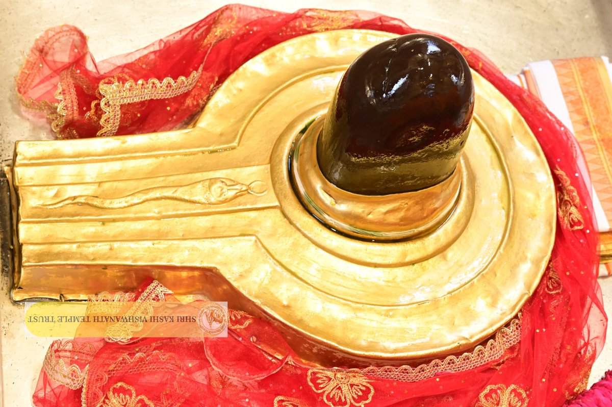 ShriVishwanath's tweet photo. श्री काशी विश्वनाथ जी की मध्यान्ह-भोग आरती I
#kashi #darshan #kashivishwanath #VishwanathDham #blessings https://t.co/KvX6ao20NW