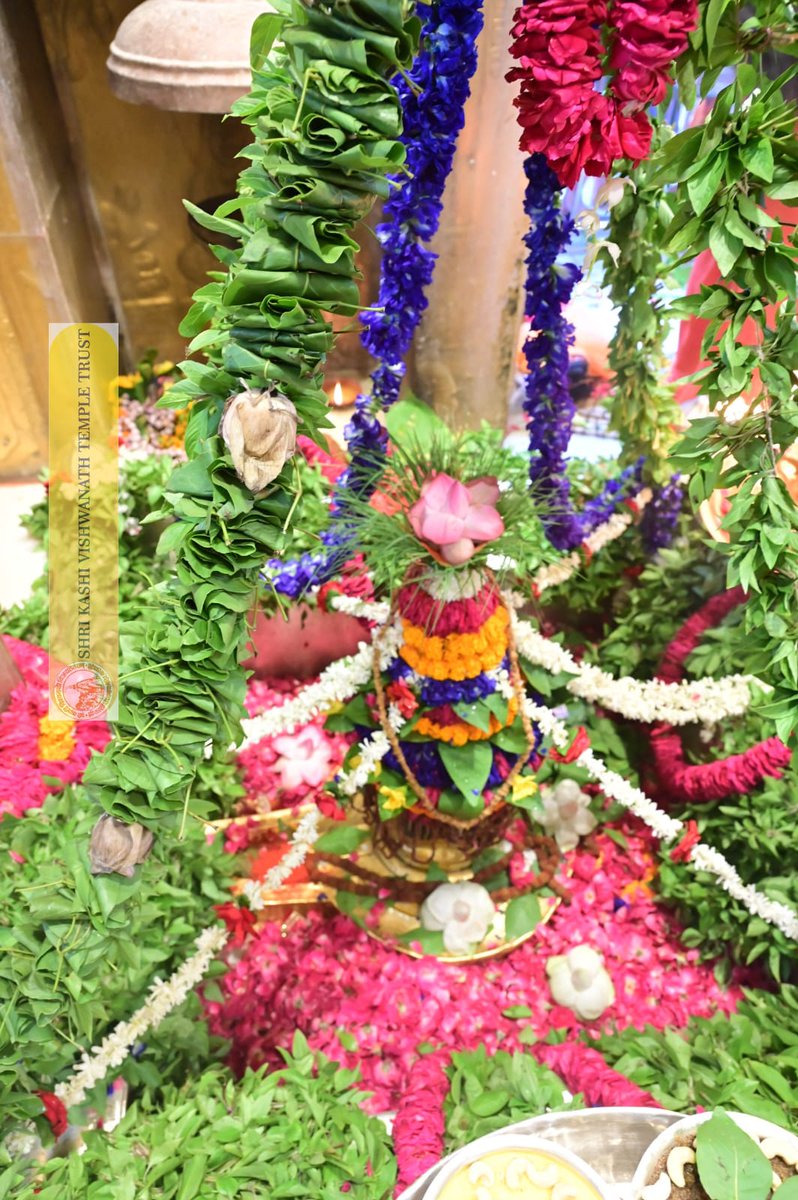 ShriVishwanath's tweet photo. श्री काशी विश्वनाथ जी की मध्यान्ह-भोग आरती I
#kashi #darshan #kashivishwanath #VishwanathDham #blessings https://t.co/KvX6ao20NW