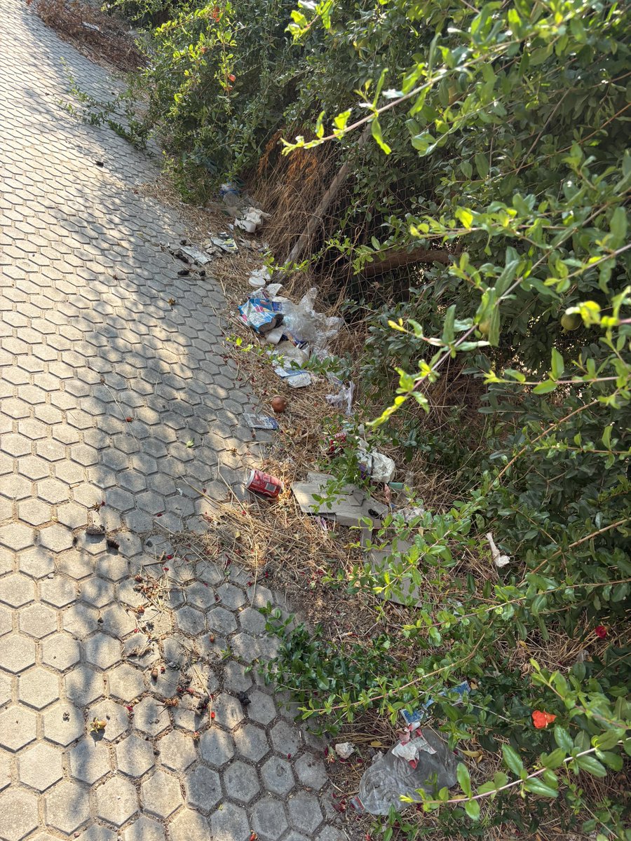 rous_rous_i's tweet photo. @LipasamSevilla en la barriada de valdezorras ( en el camino de los rojas desde la casa numero 16 hasta la basura) este es el estado de nuestras aceras
No se barre y se limpia desde hace un año @DtoEsteAlcTorre https://t.co/7t42XhvODy