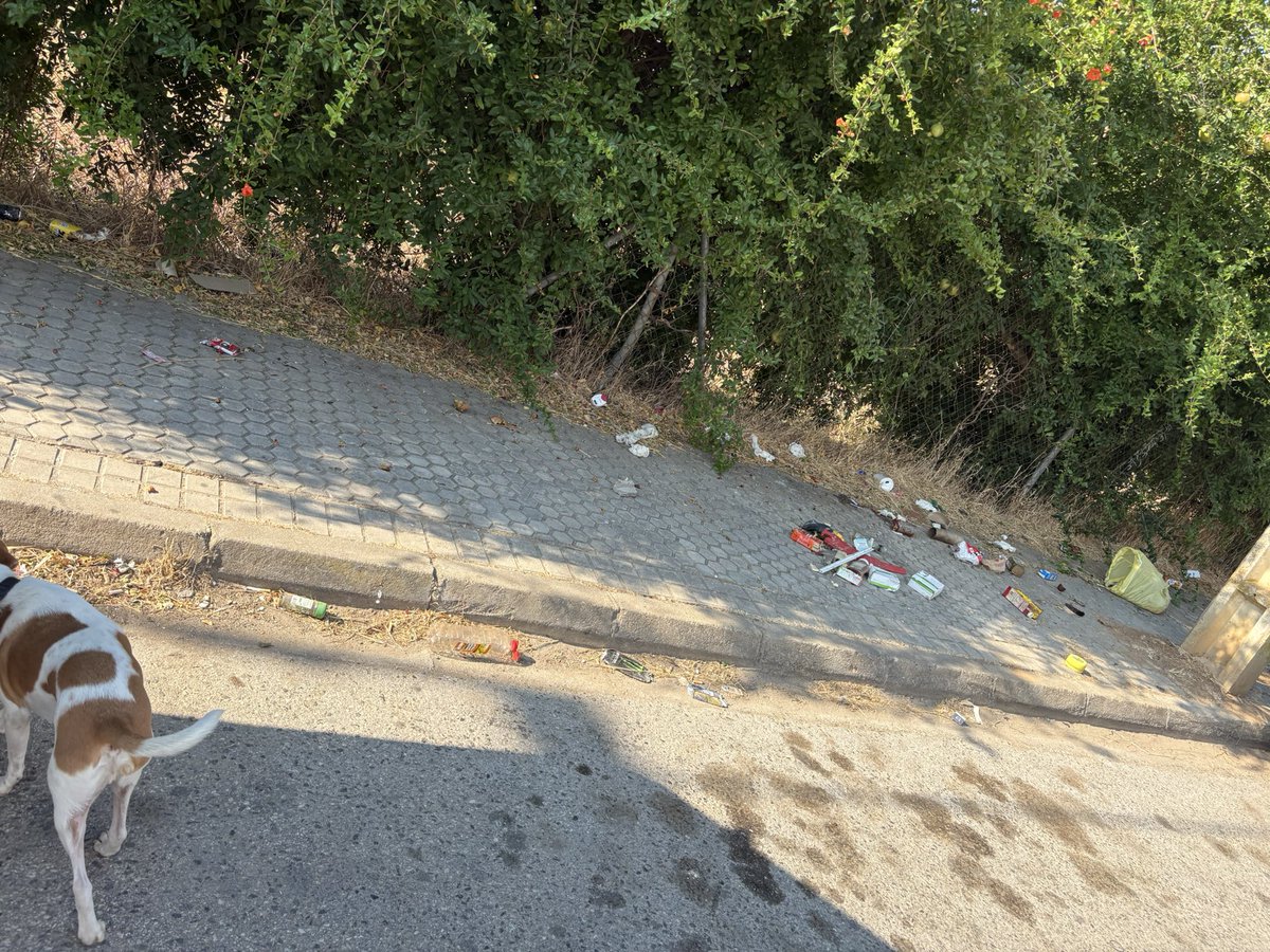 rous_rous_i's tweet photo. @LipasamSevilla en la barriada de valdezorras ( en el camino de los rojas desde la casa numero 16 hasta la basura) este es el estado de nuestras aceras
No se barre y se limpia desde hace un año @DtoEsteAlcTorre https://t.co/7t42XhvODy
