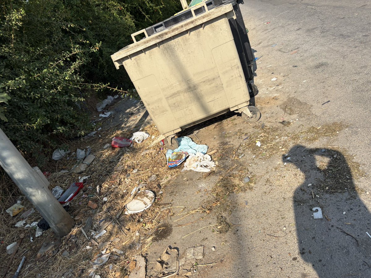 rous_rous_i's tweet photo. @LipasamSevilla en la barriada de valdezorras ( en el camino de los rojas desde la casa numero 16 hasta la basura) este es el estado de nuestras aceras
No se barre y se limpia desde hace un año @DtoEsteAlcTorre https://t.co/7t42XhvODy