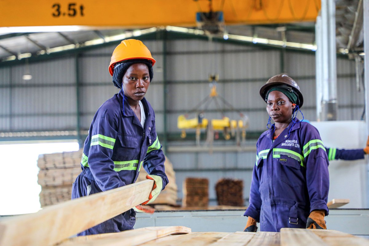 FAOUganda's tweet photo. Forests are more than ecosystems.
They power;
🌳jobs
🌳livelihoods
🌳#Climateresilience &
🌳#Greengrowth.
Thru our new business incubation programe, 90+ SMEs will gain skills, mentorship & market connections to grow their #wood-based enterprises.
More: https://t.co/B6h6UbacQV https://t.co/FiqDRtPKyr