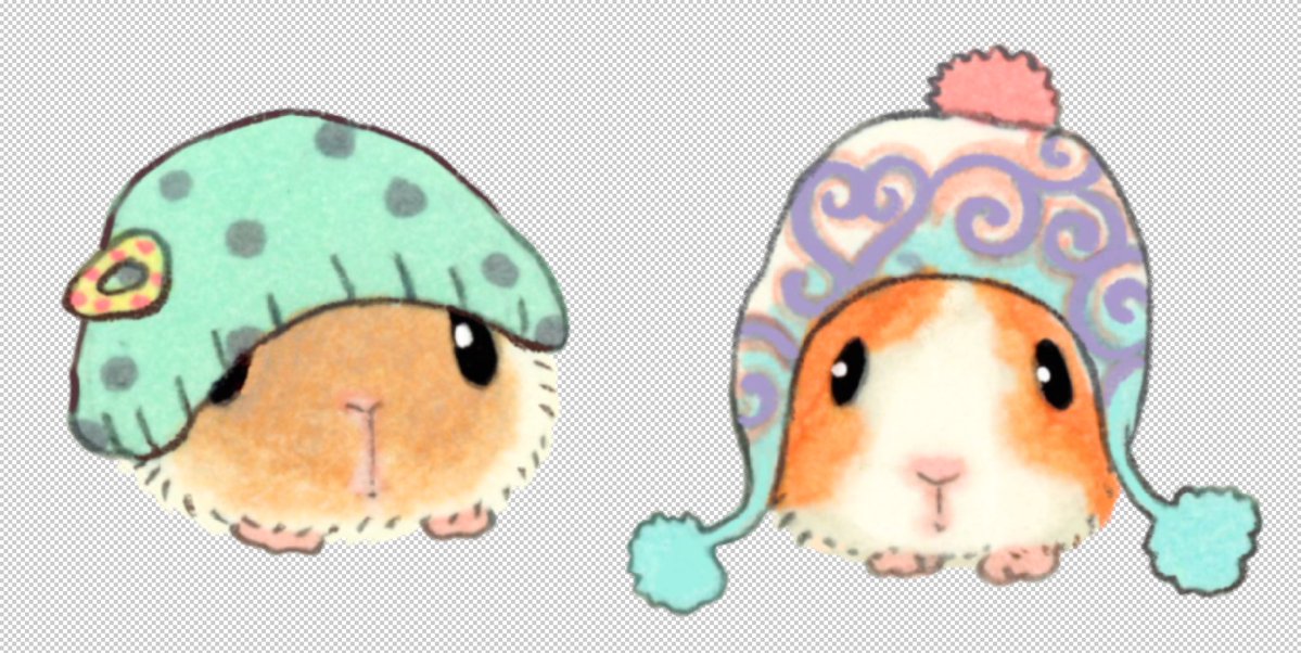 oliwabiu_'s tweet photo. 🐹 https://t.co/pz5TPIG2gK