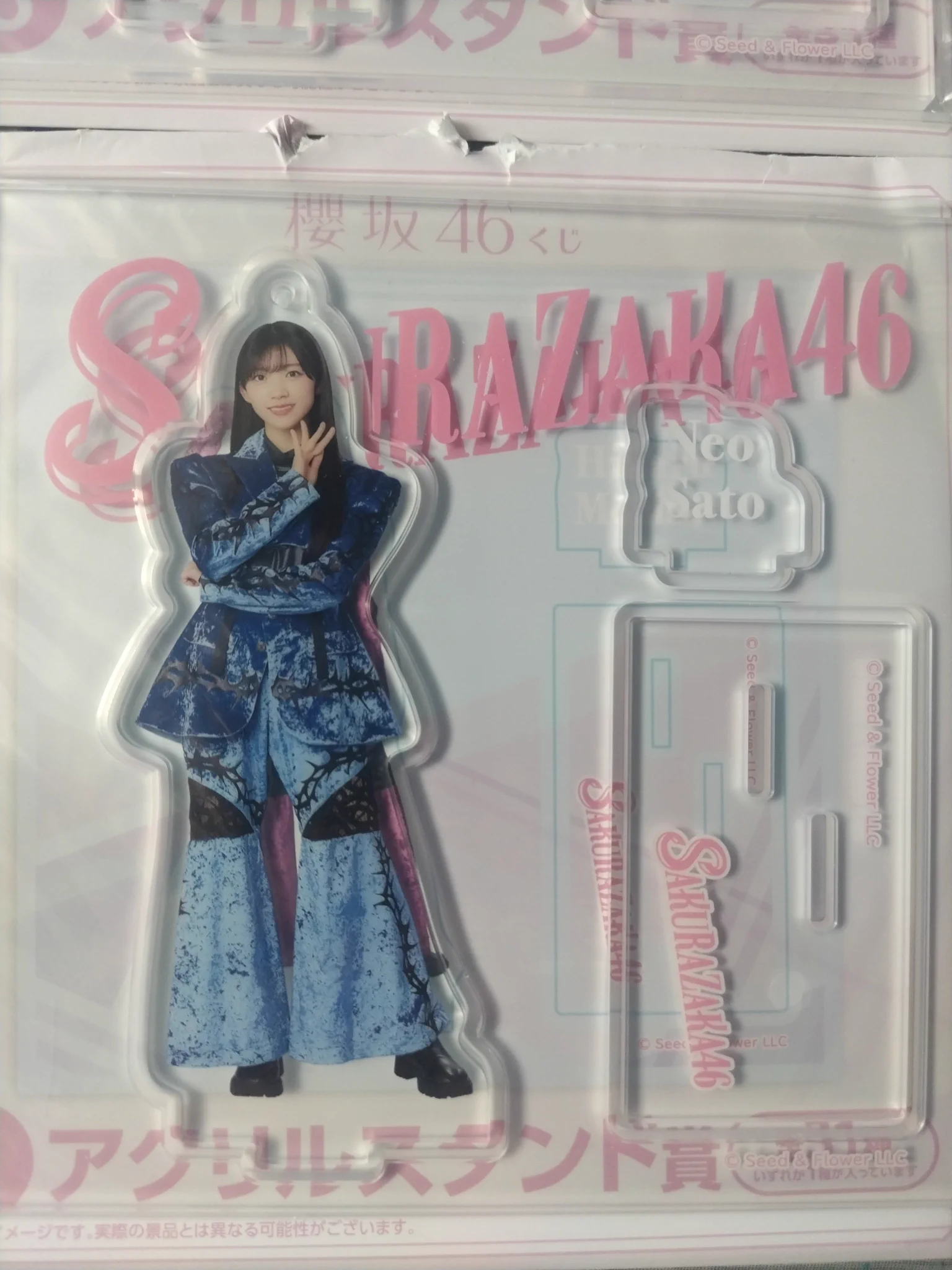 櫻坂46 on X: 