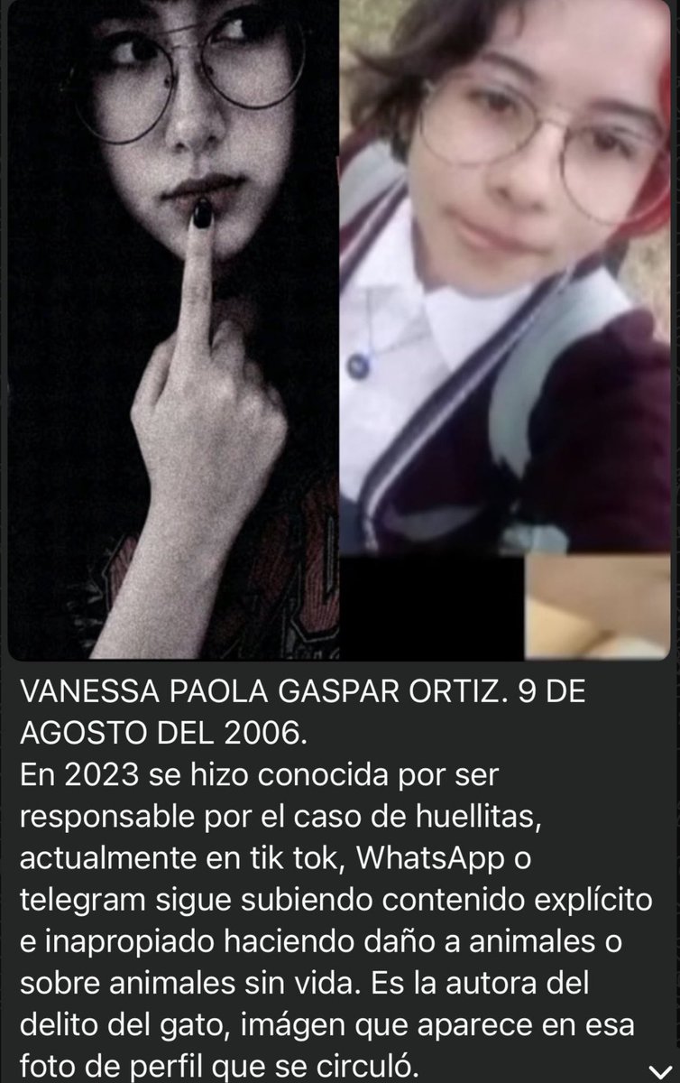 gh0st_drg's tweet photo. Está idiota mató a su gato, lo descuartizo y le quito los órganos al gato, se lo puso de foto de perfil en WhatsApp, asesino igualmente a su perro actual y en 2023 hizo exactamente lo mismo https://t.co/iBwYM7UcbI