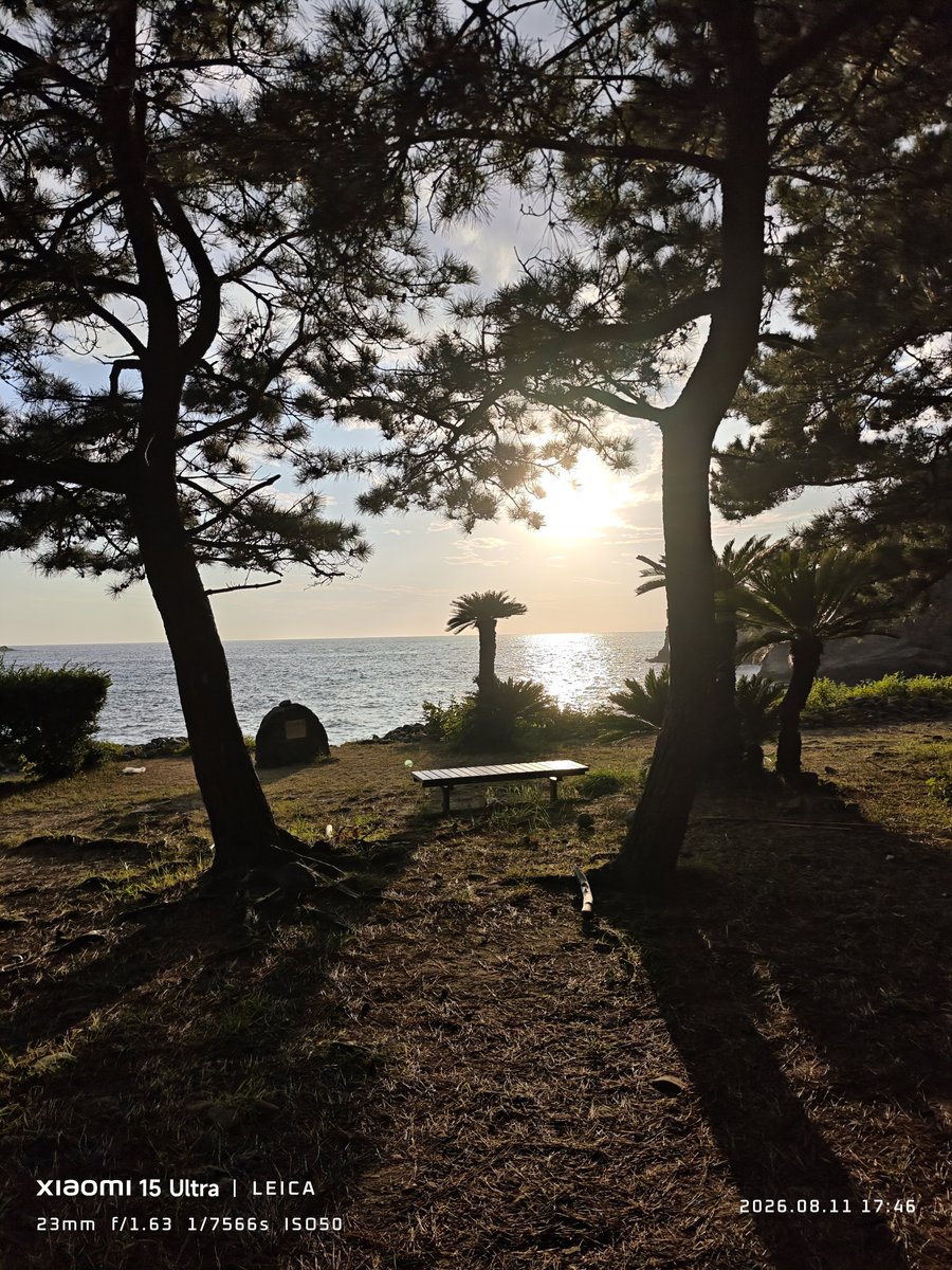 hama_JA_CS2's tweet photo. えっちなベンチ https://t.co/1QLMls0hCI