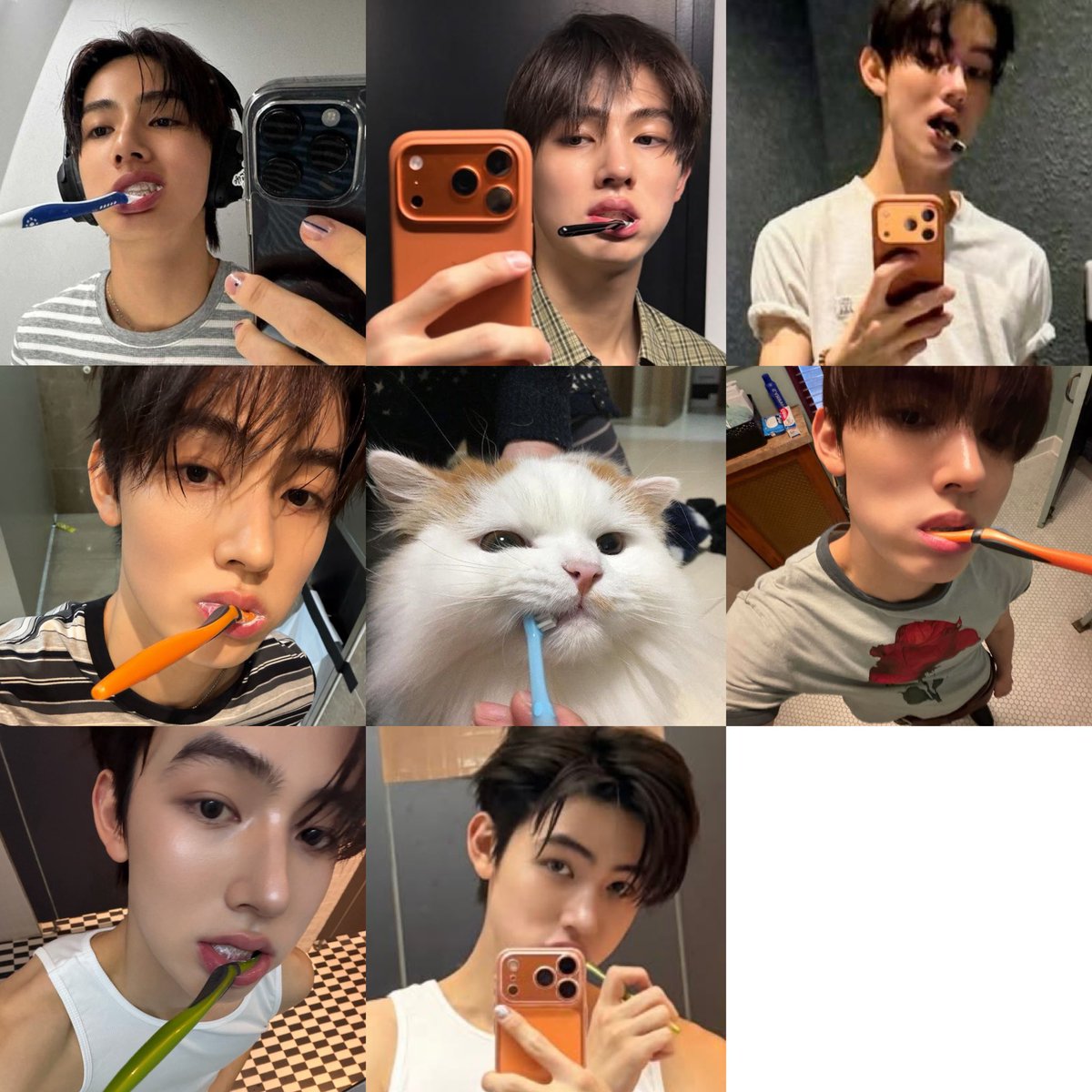 eomfairie's tweet photo. #eomcat 🪥🫧 https://t.co/Im5EeN8OuW