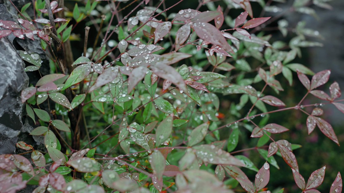 benii302's tweet photo. Growing up means not just handling the rain, but learning to dance in it https://t.co/6qeCL2fBqM