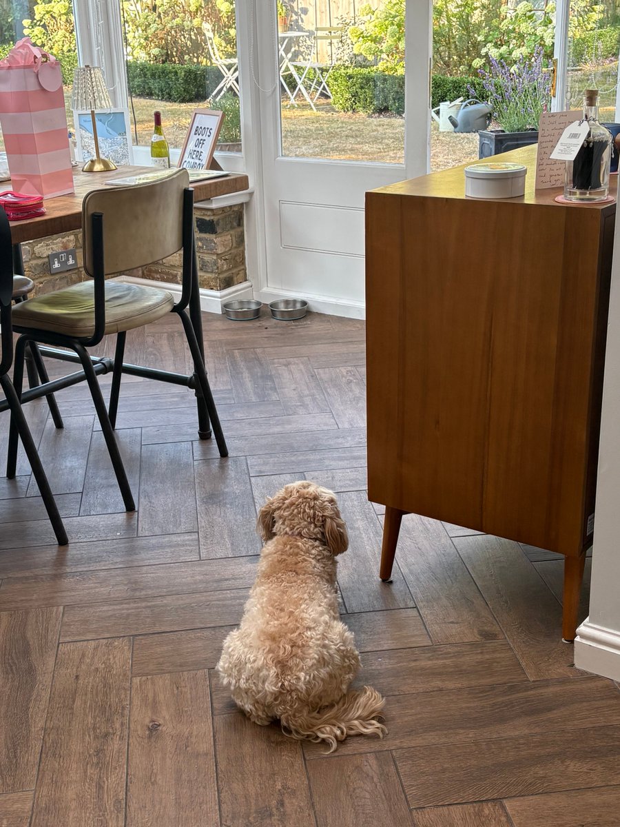 TheHoneyTails's tweet photo. Positioned in between the #ButteredCorners and #Squizzer. It’s a pretty good place to be
#AllBasesCovered https://t.co/vpa7AsJ5AX