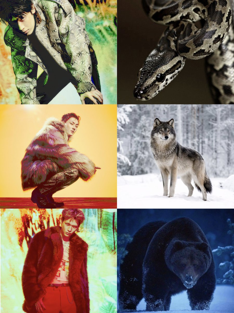 wonniesgardn's tweet photo. the concept of stealthy and dangerous predators that thrive through the night, quietly but fierce. using the infrared sensor to locate and hunt them down. https://t.co/oe1hbKHaI4