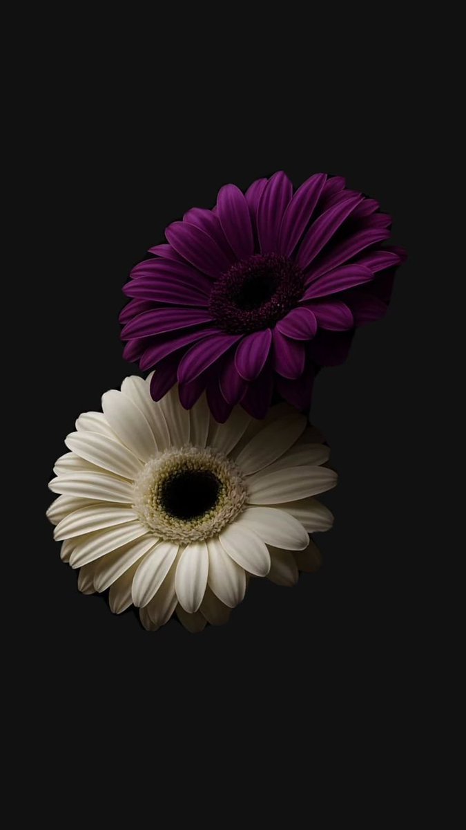 alr__121's tweet photo. " ربي أسألك 
حُسن الحياة، وحُسن الرَحيل، وحُسن الأثر .💜" https://t.co/rAlgPGWrrc