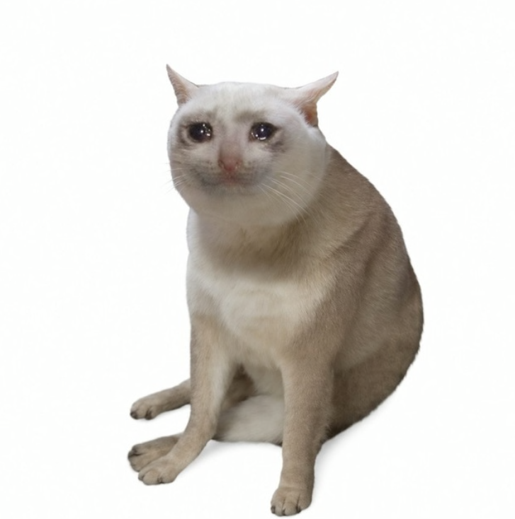 OnlyHades_'s tweet photo. Meme portfolio on RH:

➜ $CASHCAT: Flagship meme on RH chain. On the road to $500M.

➜ $INTERN: Intern who broke the GME buy button in 2021 fixes it forever onchain. Nice content and strong community. Could run hard imo.

➜ $LINK: First meme off the $PONS launchpad. The legendary hero of Hyrule has arrived on-chain. All gamers can relate and chads in.

Betting on these three for a few X's.

$CASHCAT: 0x020bfC650A365f8BB26819deAAbF3E21291018b4

$INTERN: 0x3aE3faCC99F43D5A39254A0b9f5cc0291ECd39cc

$LINK: 0xe6864e4630D4d7A0cAd2E61f6BC2C0dcAD777712