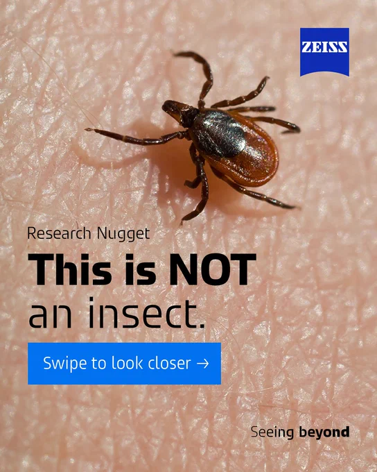 A tick sits on human skin above text stating it is not an insect, with a Zeiss logo and a prompt to look closer.