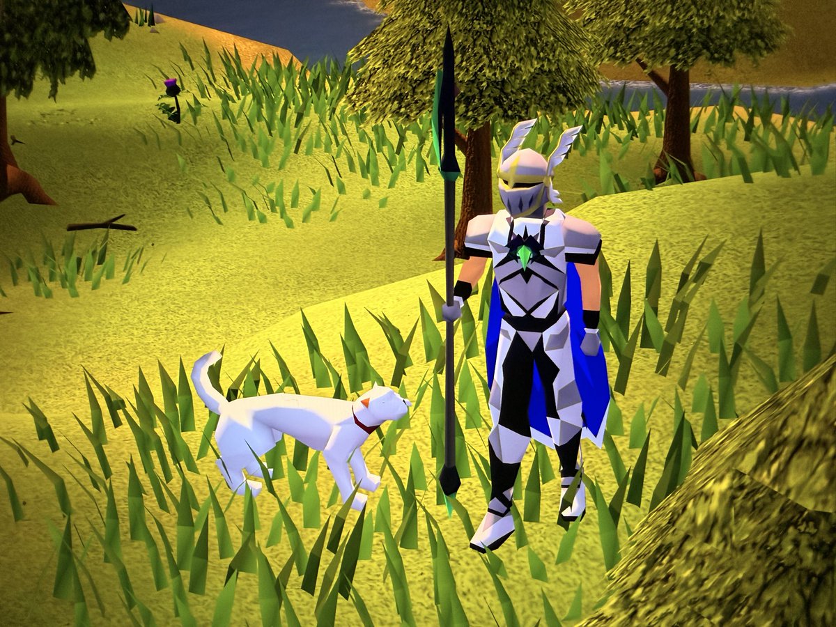 MeowzyOSRS's tweet photo. @OldSchoolRS Let us insure our cats so they don’t disappear when we die please!!! 😓 https://t.co/W1WjXo1a43