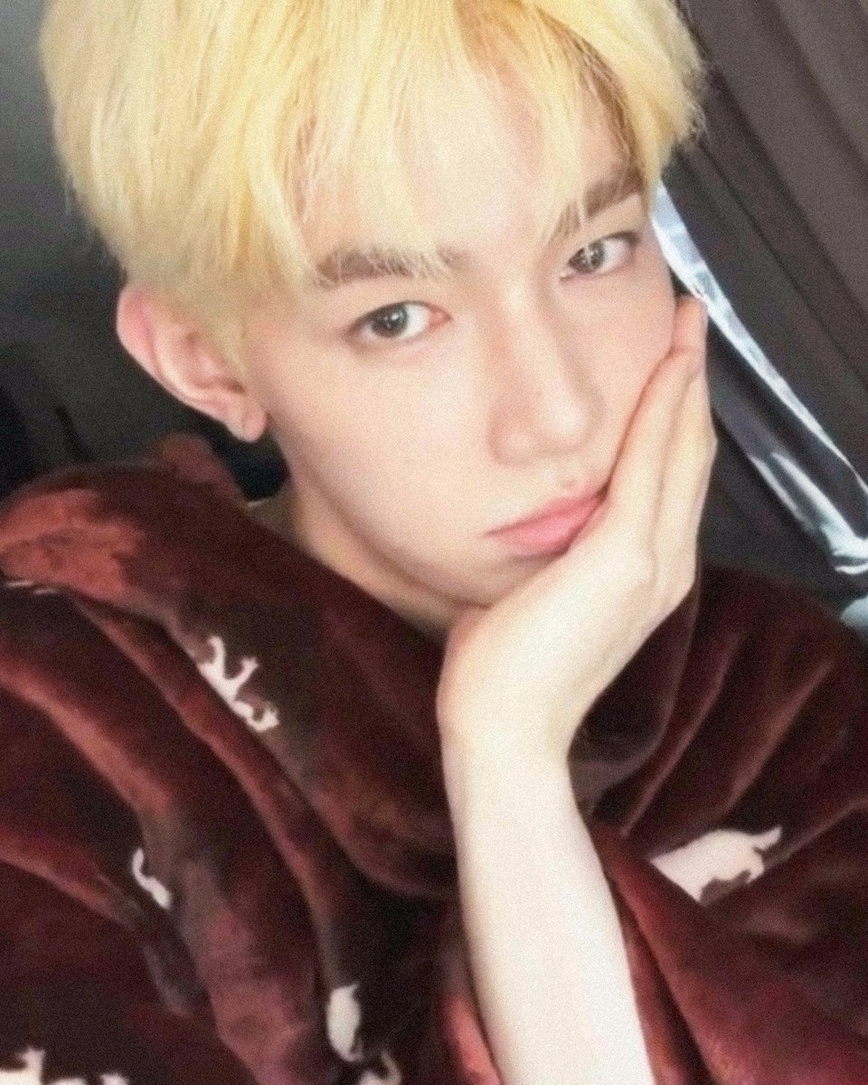 biolaboyss's tweet photo. I'm                               the                       cutest https://t.co/NCLcrbZjYS