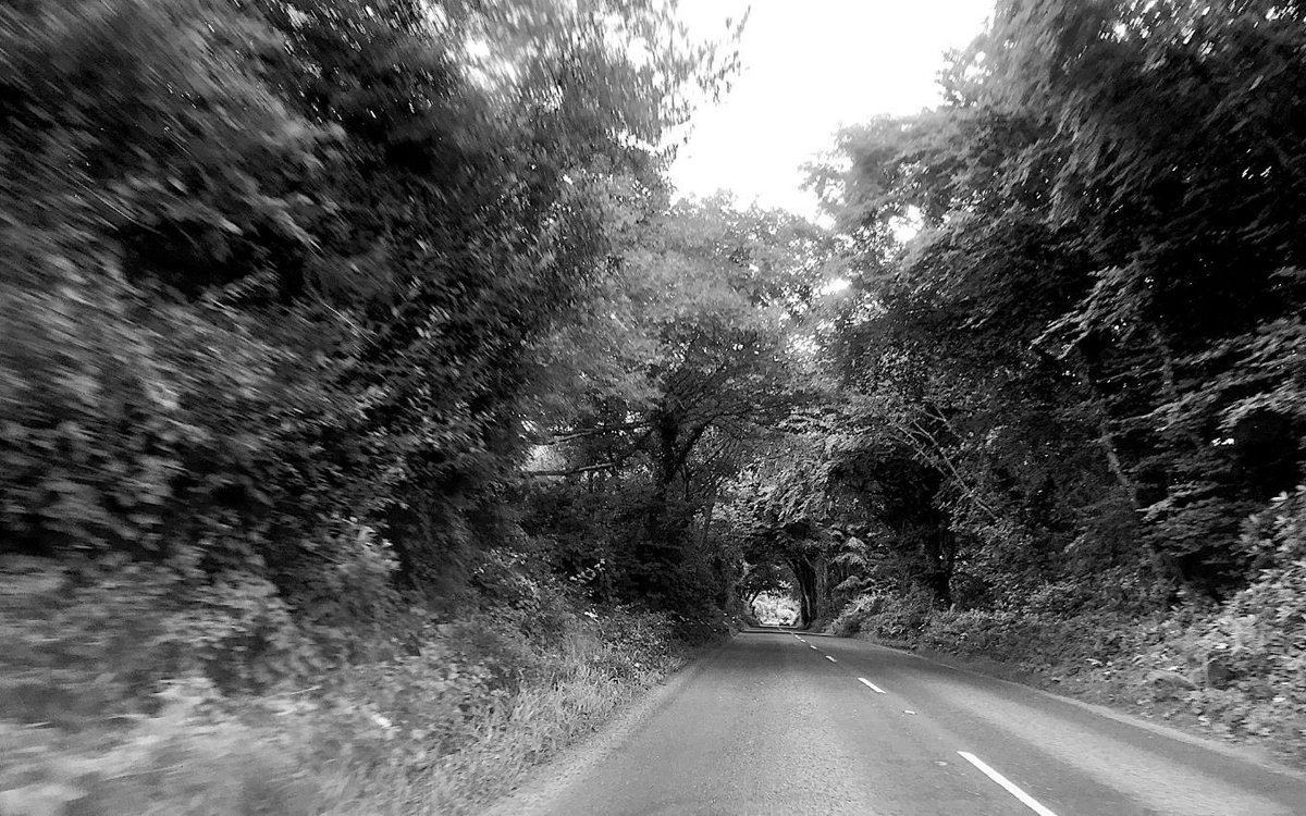 HooklandGuide's tweet photo. We ride the rural roads of Hookland unable to dismiss them as Zones of Anomalous Possibility (ZAP). Ghost-patined. Marked not just with white lines to guide our driving, but stories of UFO interruptions, darting Woodwoses. Tarmacked green tunnels into lost hours. – #DAKilroy https://t.co/1AWirJF17P