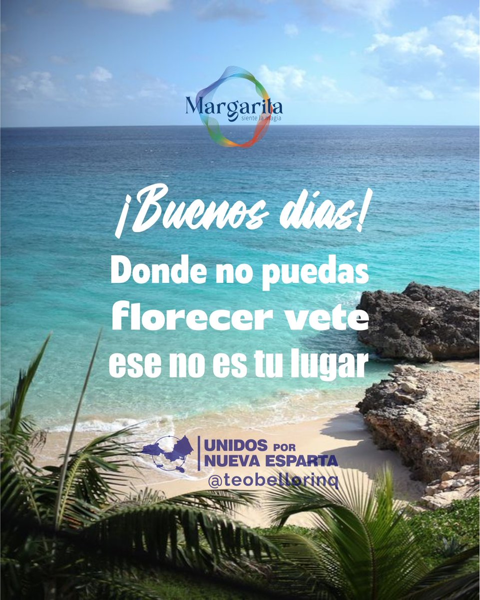 TeoBellorin's tweet photo. Si un espacio, relación o trabajo apaga tu luz y te detiene, tienes el derecho y la fuerza de marcharte para buscar un terreno donde sí puedas crecer en paz #Entorno #Cambio #Apoyo #Realidad https://t.co/sJNfbP4wH0
