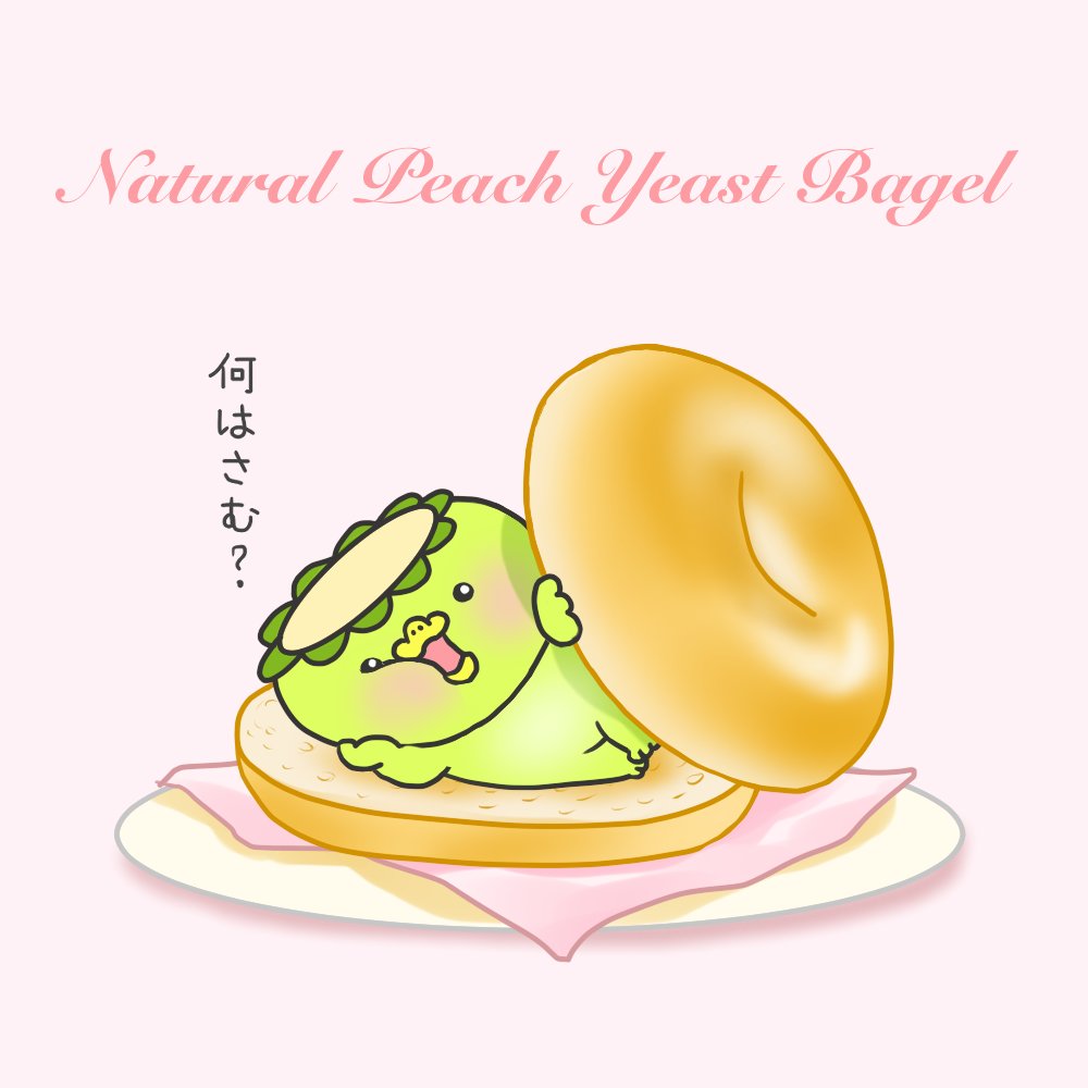 pien_mori's tweet photo. おかやま夢白桃の果肉で「すりつぶし桃酵母」を起こしてベーグル焼いてみました。

桃って加熱するとチーズのような香りになるから不思議。

今朝はチーズと卵をはさんでみたけど、他には何はさんで食べたら美味しいかなぁと食いしんぼうな妄想中。

他にもスコーンやカンパーニュも焼いてみました。
すりつぶし桃酵母パン作り、こちらのブログは詳細編です♪
https://t.co/tnWHQ5N2vu

#ふにぽっこベーカリー　#桃酵母　#自家製酵母　#手作りパン　#ベーグル