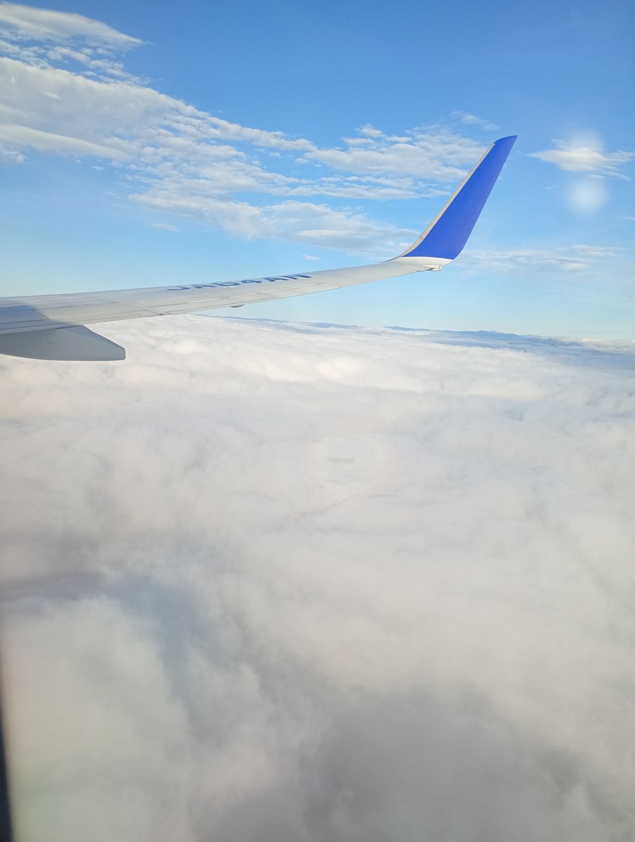 chika56's tweet photo. お盆の混雑前に宮崎に帰省してました。台風の影響でお天気は悪かったけど、実家にようやくエアコンが設置されたことと家族の健康を確認できたし、家族で昨日の日南学園の試合を応援できて楽しかったし、良い休日でした。 https://t.co/avD07fUf3I
