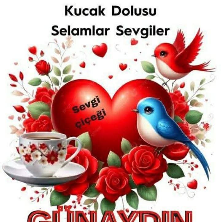 tayfa37's tweet photo. @FilizBaharNisan https://t.co/dqqBfyP7nQ