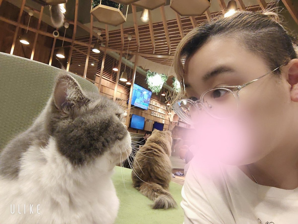 souutu_chan_'s tweet photo. 浮気性のわい https://t.co/sAHd11TlO5