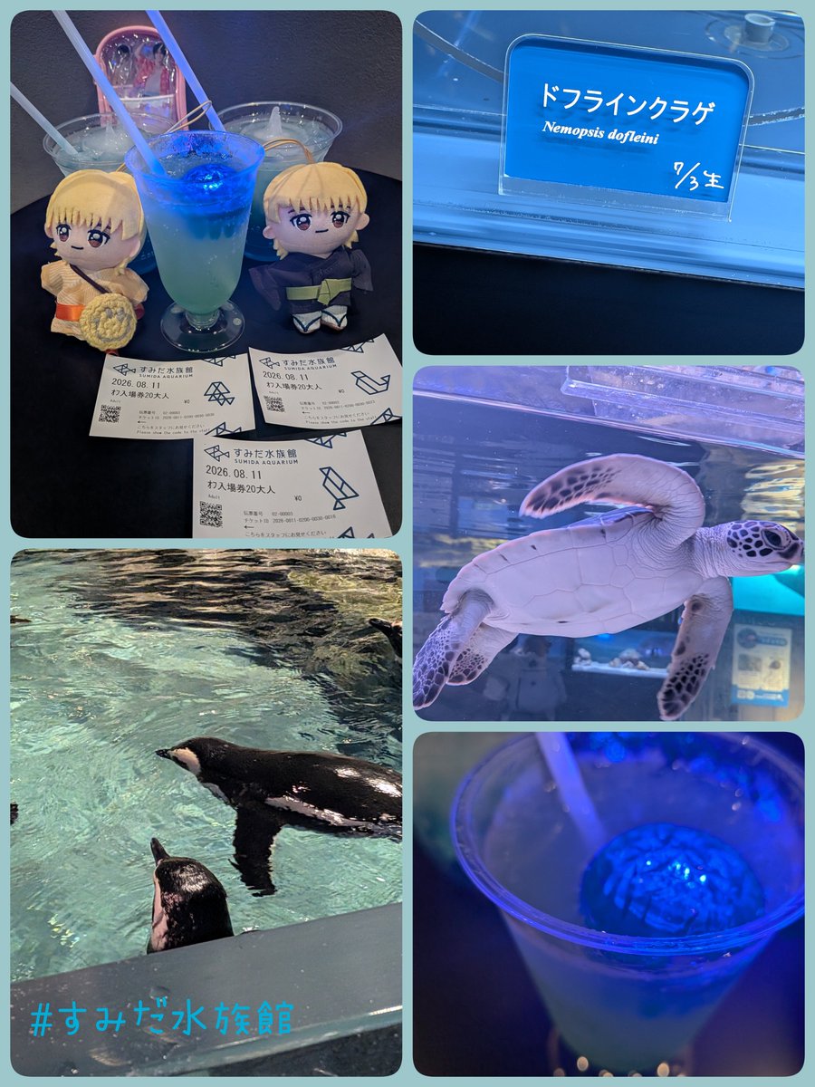 mint_au_lait's tweet photo. すみだ水族館🐧楽しかったー☺︎
香信くん、健くんが行ったであろう場所にほぼ行けたはず！
ロケ地巡りってたのしいな🐟️ https://t.co/VtqrNUbWN6