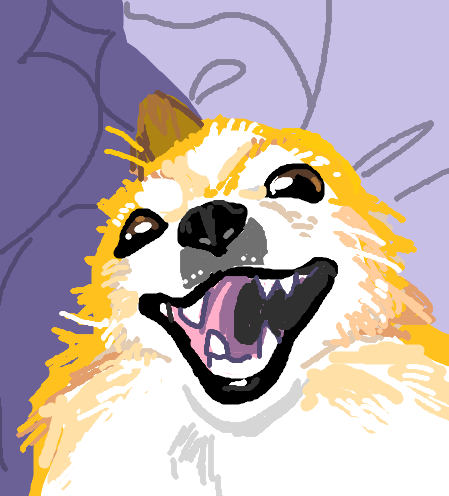 ManaAkainu's tweet photo. I got no pooch soooo here's a doodle i did during your stream of Diamond Bear (Ruwa's pomeranian) :3

@vel_masu 
reference pic: https://t.co/gs7YpSLOZ8

#K9PETS https://t.co/IrFyqFDXSF