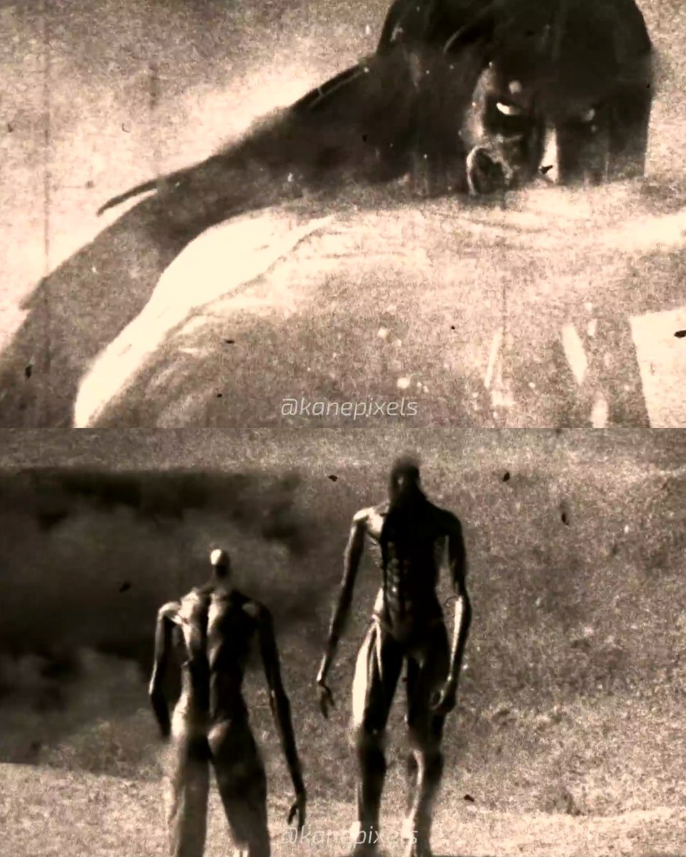 TheCinesthetic's tweet photo. Before directing BACKROOMS, Kane Parsons was making ATTACK ON TITAN animated videos on YouTube.

Quite the career jump. https://t.co/dHQuPpYYzM