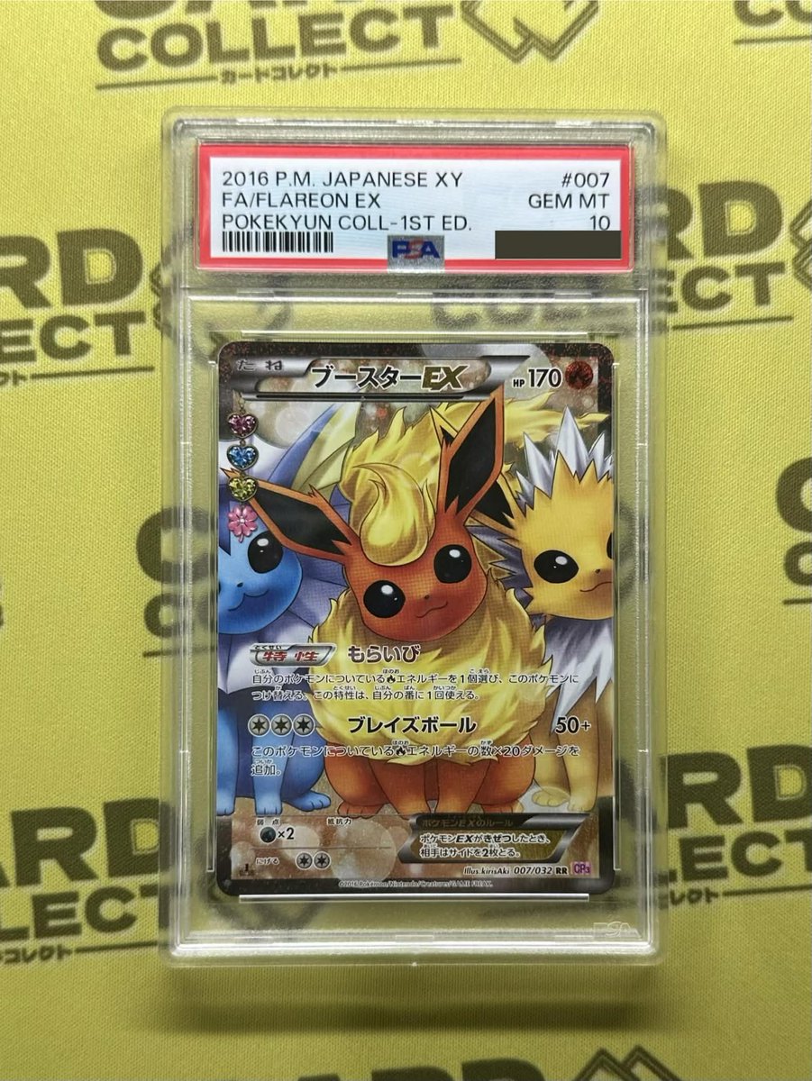 🔥━━━━━━━━━━━━━━━━🔥 ✨ 入荷情報