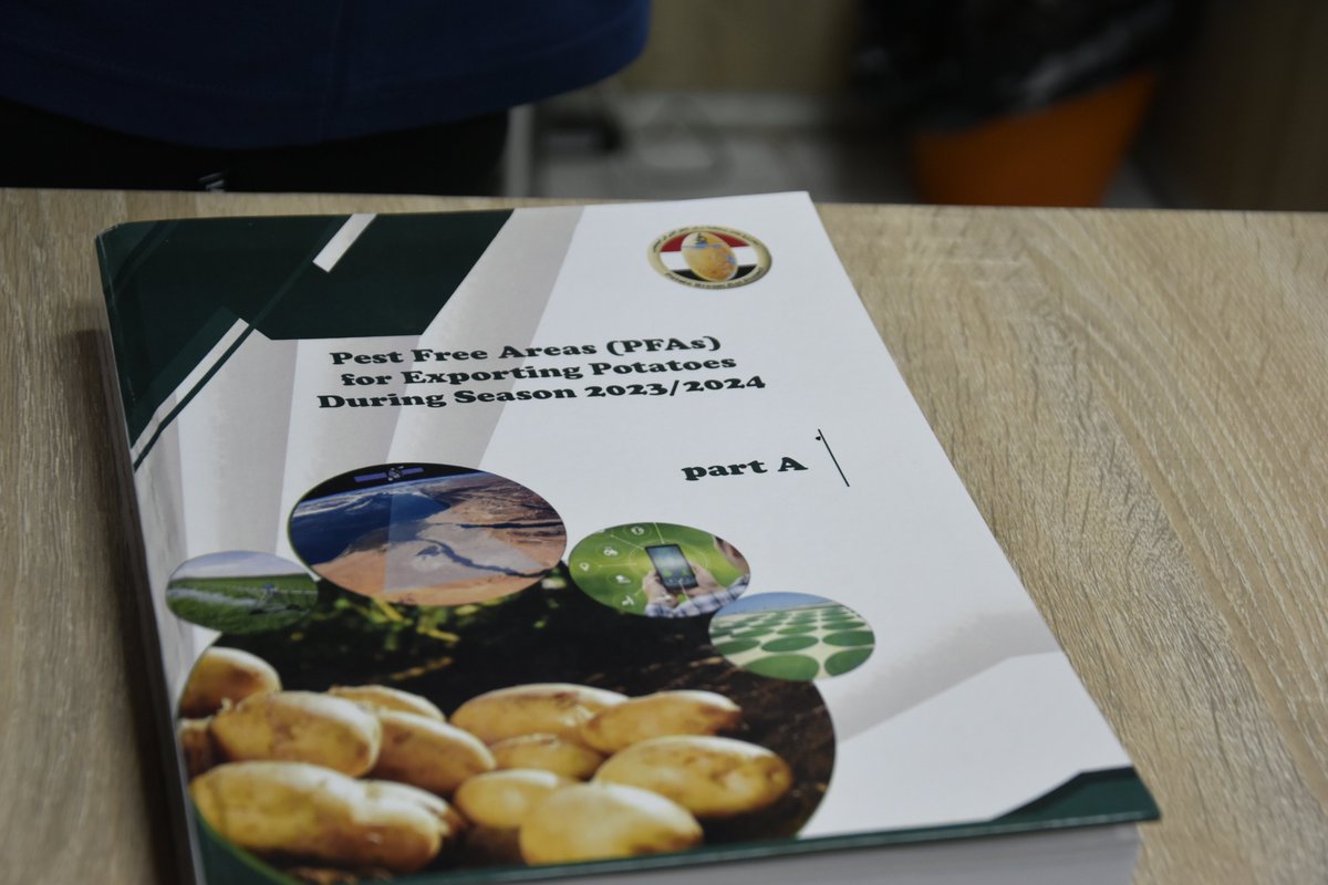 ippcnews's tweet photo. 🥔 Potatoes are grown in 159 countries and come in over 5,000 varieties.

Protecting them from pests and diseases is essential. 

Egypt is doing so by implementing the International Standards for Phytosanitary Measures (ISPMs) through pest free areas, digital surveillance, systems approaches and phytosanitary certification for exports.

🔗 https://t.co/8rUMGHsW6X

📸 Photo credit: © FAO/Anita Tibasaaga

#PlantHealth #ISPMs #SafeTrade