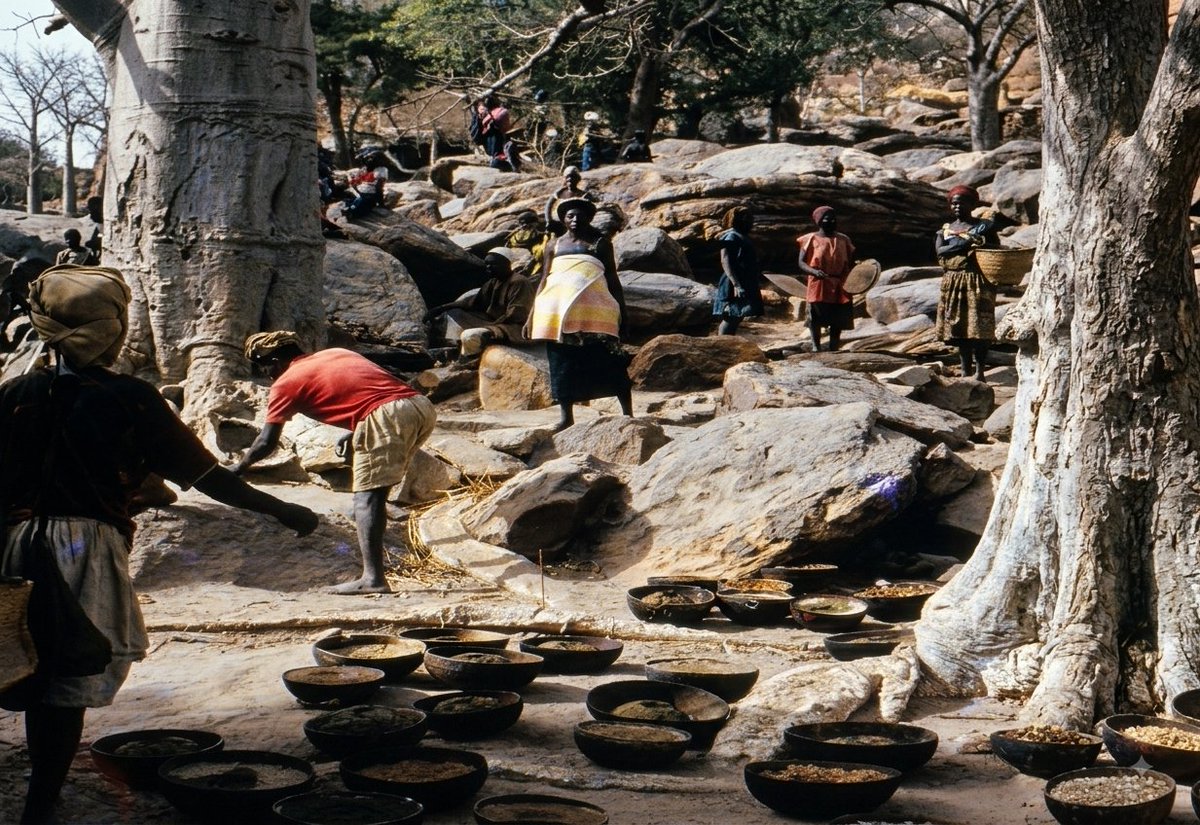 MiaDiarraa's tweet photo. ✨ Tireli, au cœur du Pays Dogon ����️❤️
Un village, une histoire 📜 une culture qui traverse le temps. ⏳🤎
#Mali #Tireli #Dogon 🇲🇱✨ https://t.co/7enmr7ZnpI