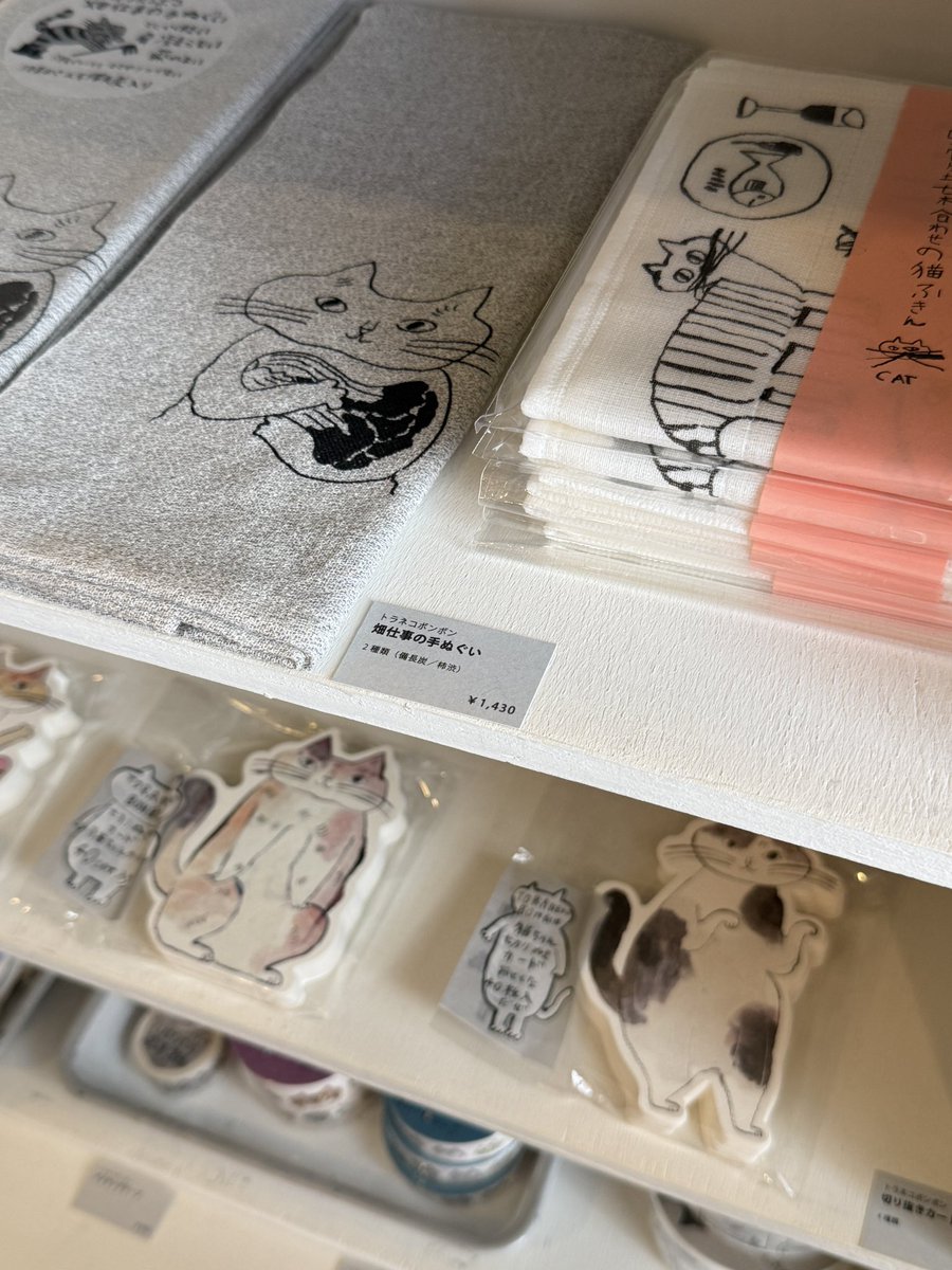 fujihappyspot's tweet photo. 富士市吉原の雑貨店sinilintuさんで企画展『猫の集会3』が8/30まで開催中!青木映���子さんの陶、kitutukifabricaさんの張り子、木翠さんの布で作る猫達や店主さんが選んだ猫関係のモノ���ど。猫好きさんは集会所に集まれ!😺
#富士市
#sinilintu
#猫の集会 https://t.co/u0liA0EhNs