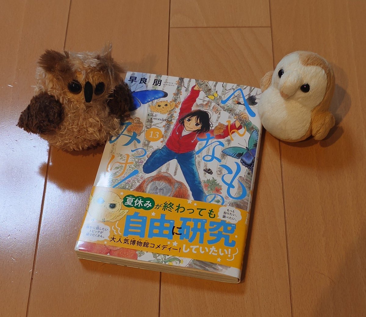 xr400red's tweet photo. #へんなものみっけ ⑬届いたー https://t.co/4hbo4Ae8NR